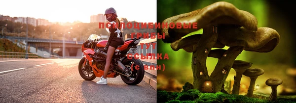 кокаин колумбия Гусиноозёрск