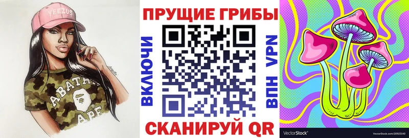 ОМГ ОМГ ONION  Дмитров  Галлюциногенные грибы MAGIC MUSHROOMS  где можно купить наркотик 