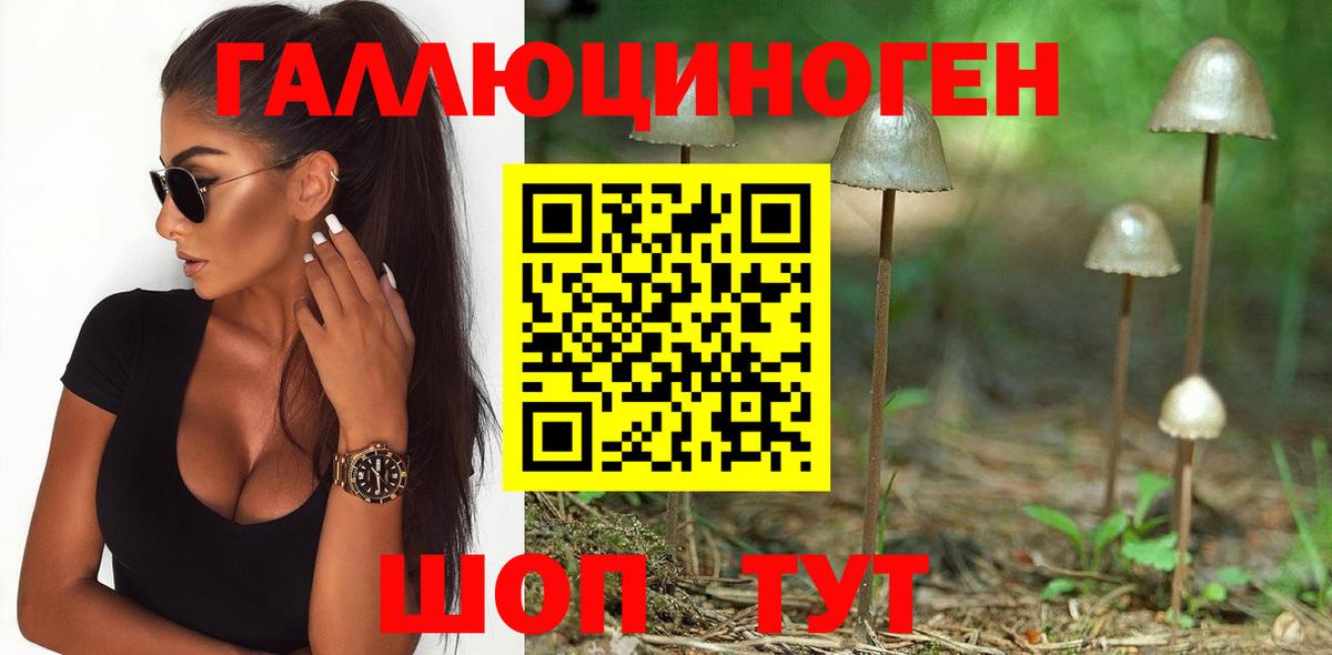 Конопля  Дмитров  ТГК  МЕФ   Вход с VPN  Конопля 