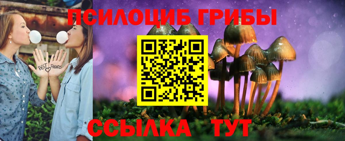 Дмитров  Галлюциногенные грибы ЛСД  Вход с VPN  Псилоцибиновые грибы Psilocybine cubensis 
