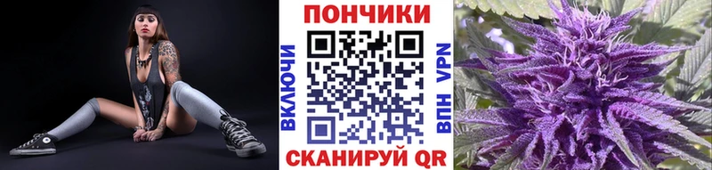 Канабис сатива  Дмитров 